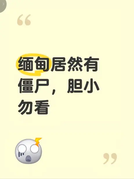 高清视频《缅甸僵尸出土事件》现场全程录像揭秘真相 - 缅甸僵尸出土事件最新高清完整版在线免费播放