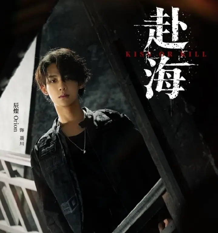 《赴海》电视剧全集免费在线观看-环大陆赴海高清播放-双男主剧完整版资源-辰燦主演赴海爱情剧在线观看
