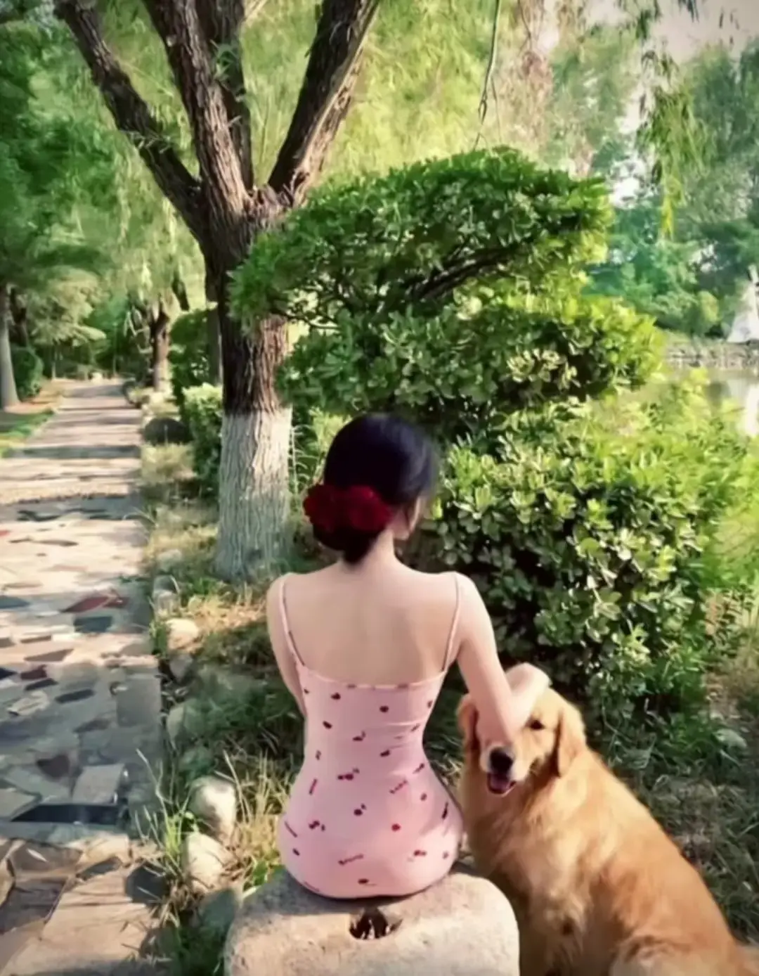 《香香公主与金毛爱犬高能瞬间》完整版全集高清播放-三集连播见证跨物种情感-香香公主与金毛爱犬HD1080P免费观看