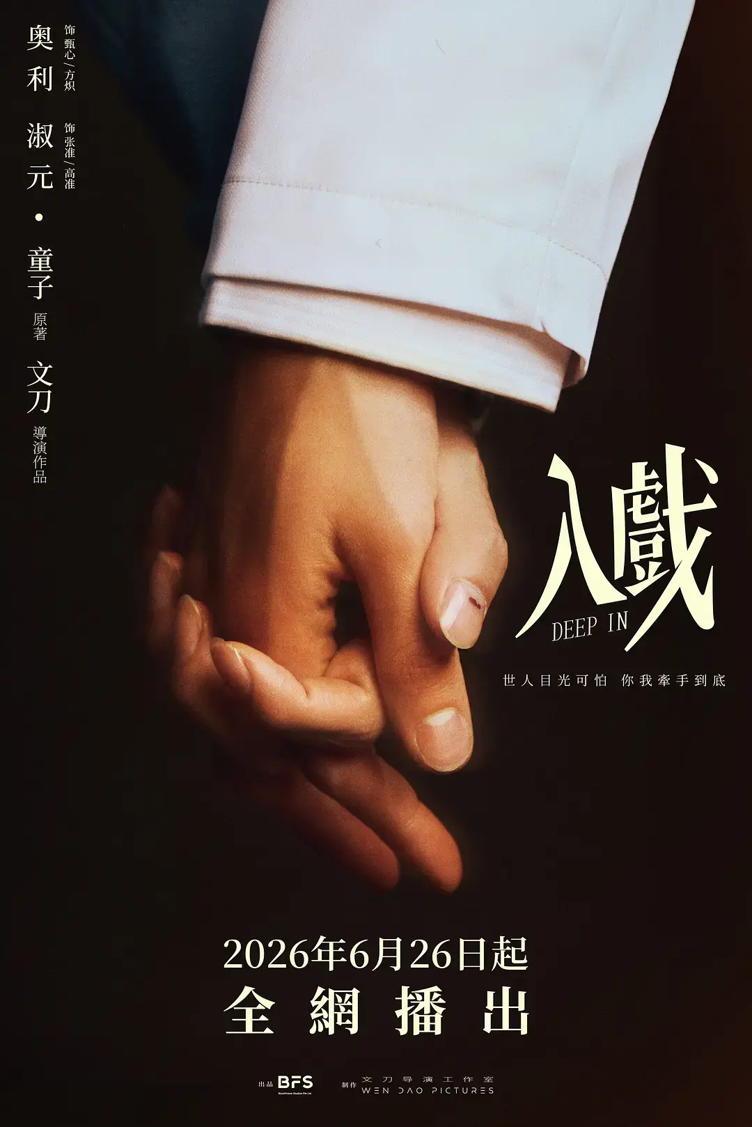 《入戏》2026双男主剧高清全集免费观看-《入戏》HD1080P高清画质无广告在线播放-入戏正片完整版免费看