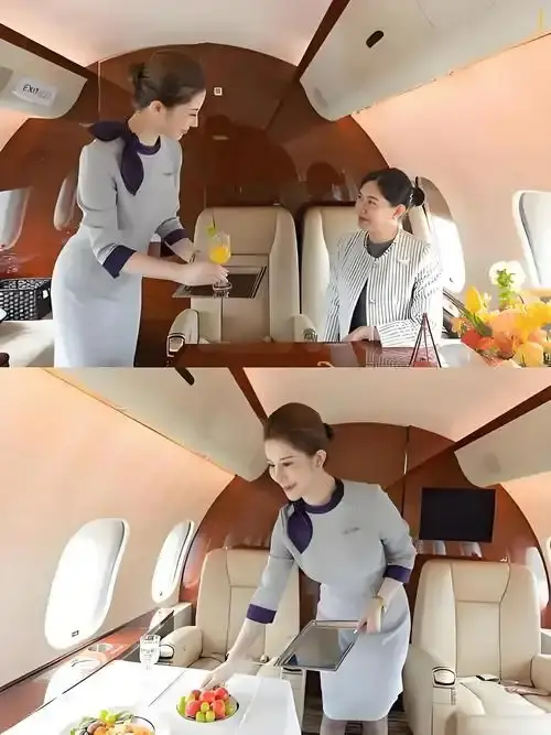 《私人航空/法国航空》未删减版高清在线观看-私人航空/法国航空完整版免费播放-无弹窗高清